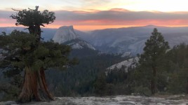 시에라 네바다 산맥의 아름다운 나무에 해먹 걸기