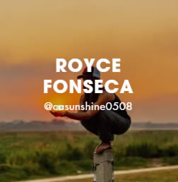 ROYCE FONSECA